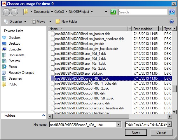 File:DW4 browsing a disk.jpg