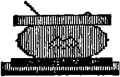 File:From Zelda'S Bat Bottle.png