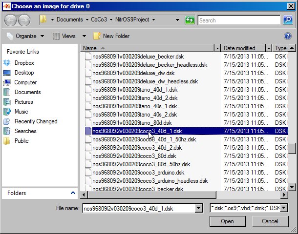 File:DW4 browsing a disk.jpg